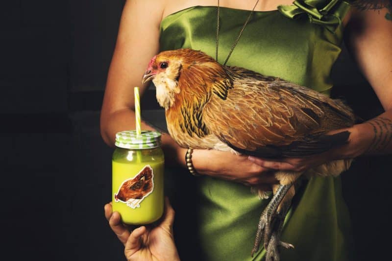 A woman in a green dress holds a chicken who is trying to drink from a mason jar...that has a sticker of the chicken on it.