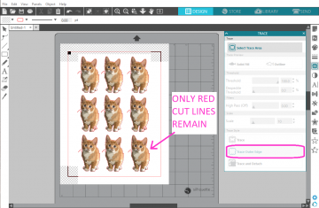 Click on "Trace Outer Edge" to add a cut line outlining each image