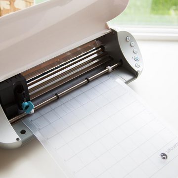 The Silhouette Portrait and its narrow cutting mat